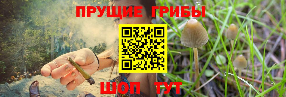 Каспийск  Галлюциногенные грибы Magic Shrooms  Вход с VPN 