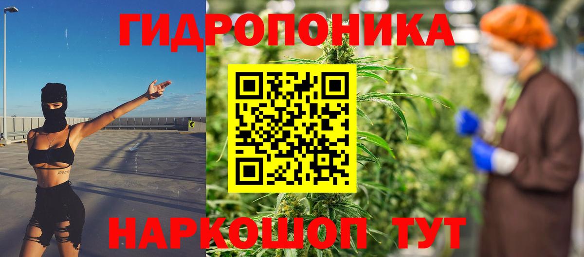 Канабис тримм  Каннабис план  Каспийск  Вход с VPN 